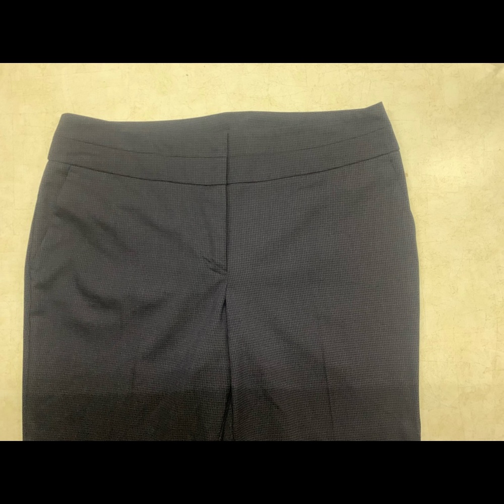 Ann Taylor Women’s Curvy Pants 6